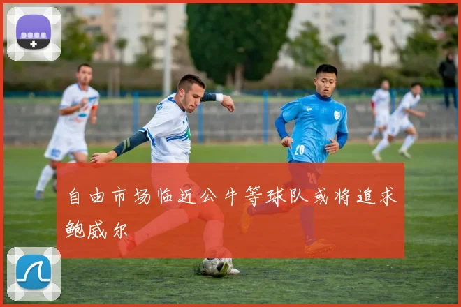 自由市场临近公牛等球队或将追求鲍威尔