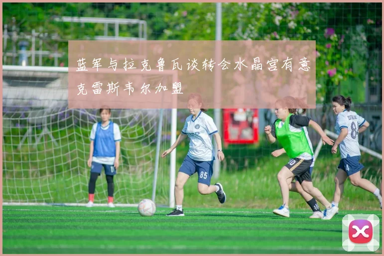 蓝军与拉克鲁瓦谈转会水晶宫有意克雷斯韦尔加盟